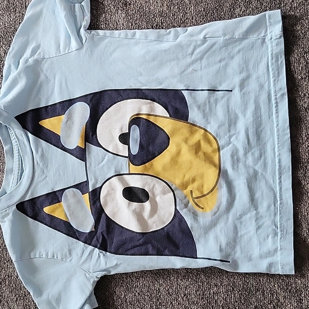 Kids Bluey t-shirt